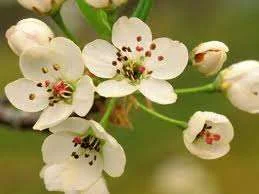 images-13.webp
