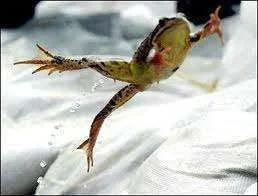images-13.webp