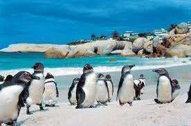 images-13.webp
