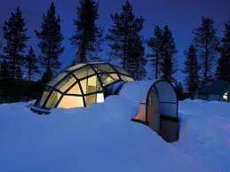 images-14.webp