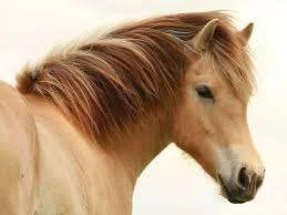 images-14.webp