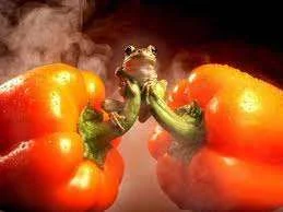 images-14.webp