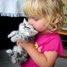 images-15.webp