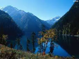 images-15.webp