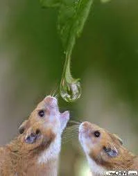 images-15.webp