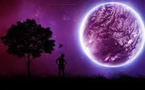 images-15.webp