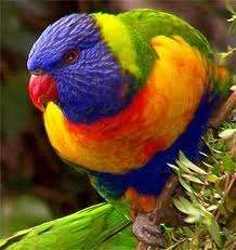 images-16.webp
