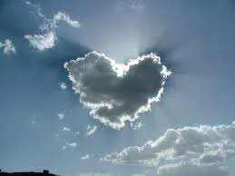 images-16.webp