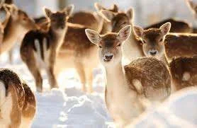 images-16.webp