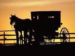 images-16.webp