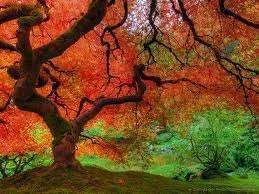images-17.webp