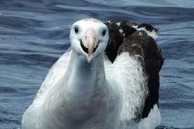 images-17.webp