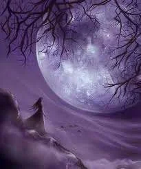 images-17.webp