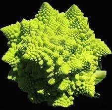 images-17.webp