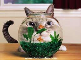 images-18.webp