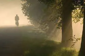 images-18.webp