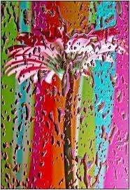images-19.webp