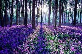 images-19.webp