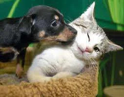 images-19.webp