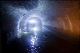 images-19.webp