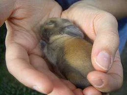 images-2.webp