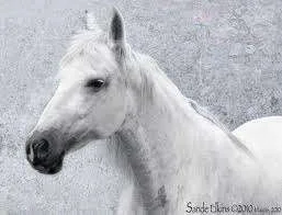images-2.webp