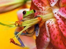 images-2.webp