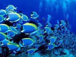 images-2.webp