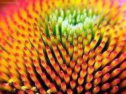 images-2.webp