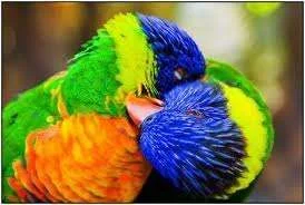 images-2.webp