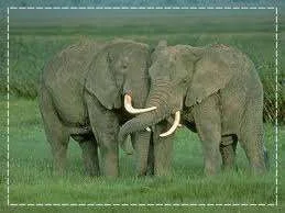 images-20.webp