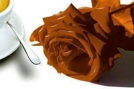 images-20.webp