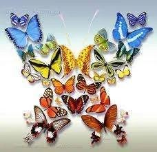 images-21.webp