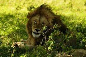 images-21.webp