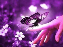 images-21.webp