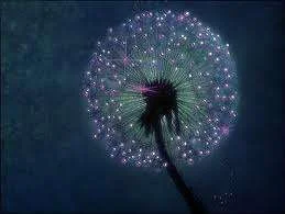 images-21.webp