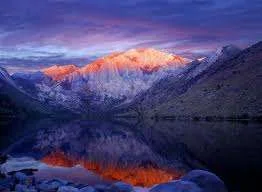 images-21.webp