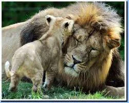 images-22.webp