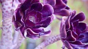 images-22.webp