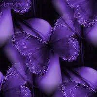 images-22.webp