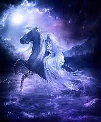 images-24.webp