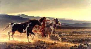 images-24.webp