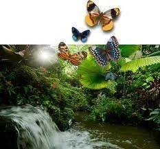 images-25.webp
