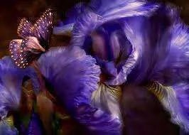 images-25.webp