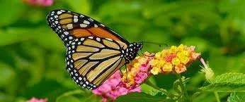 images-26.webp