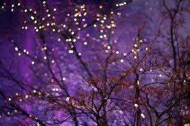 images-26.webp