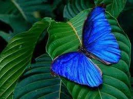 images-27.webp
