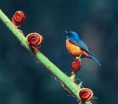 images-27.webp