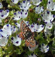 images-28.webp