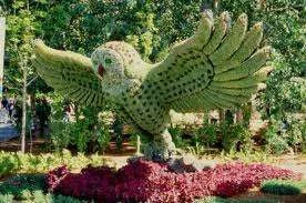 images-28.webp